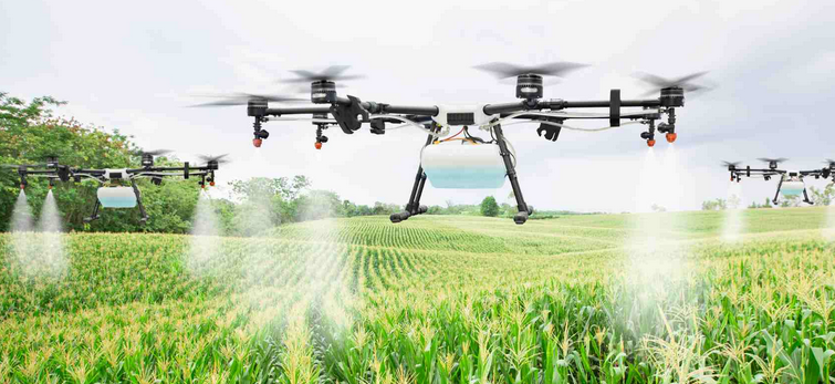 The Role of Precision Agriculture