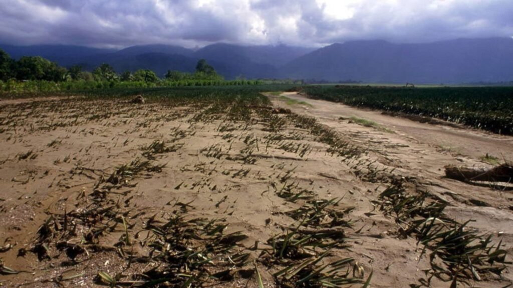 this image shows Climate Change on Agri-Foods